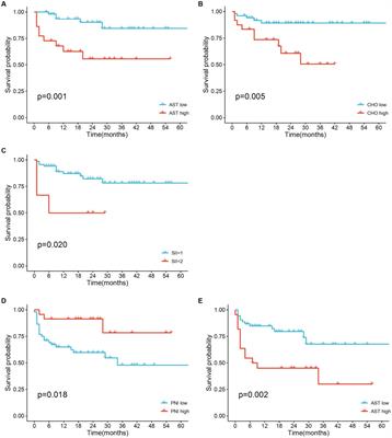 Predictive value of prognostic nutritional and systemic immune-inflammation indices for patients with microsatellite instability-high metastatic colorectal cancer receiving immunotherapy